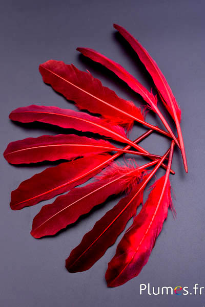 Canard motif vague - 16-18 cm - rouge noir